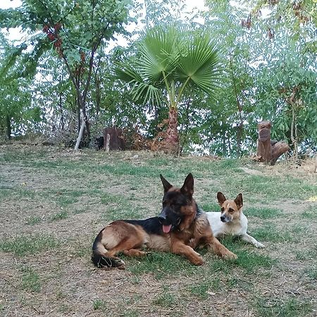 Palapico Ξενοδοχείο Bonifati Εξωτερικό φωτογραφία