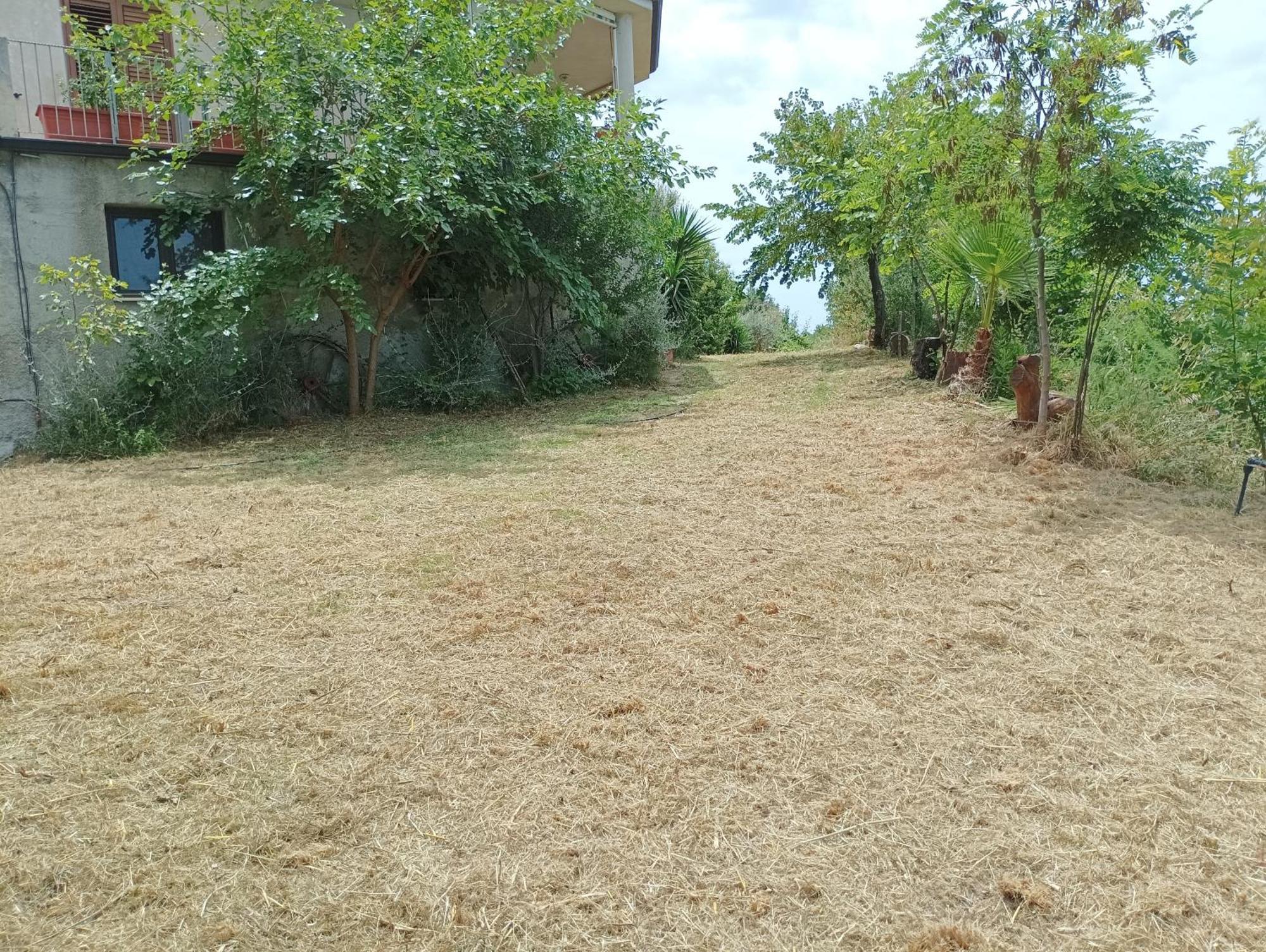 Palapico Ξενοδοχείο Bonifati Εξωτερικό φωτογραφία