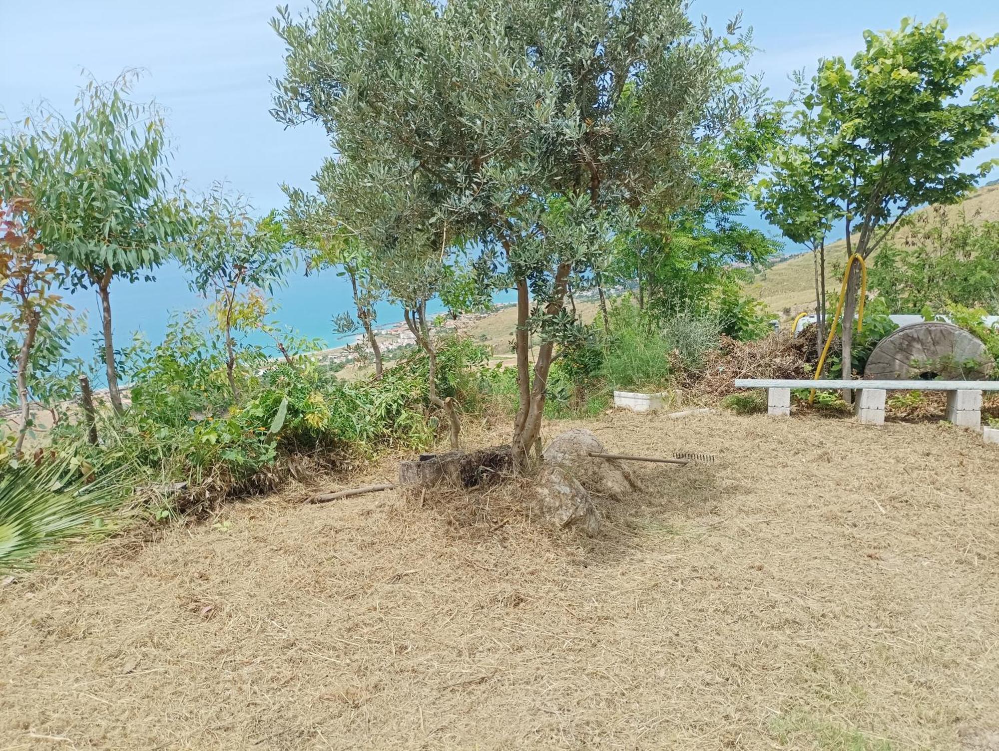 Palapico Ξενοδοχείο Bonifati Εξωτερικό φωτογραφία
