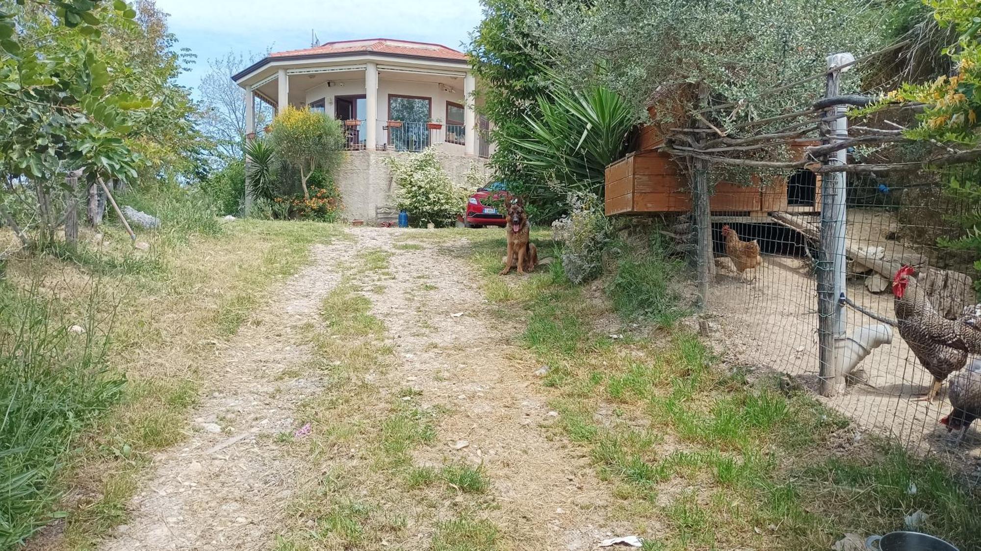 Palapico Ξενοδοχείο Bonifati Εξωτερικό φωτογραφία