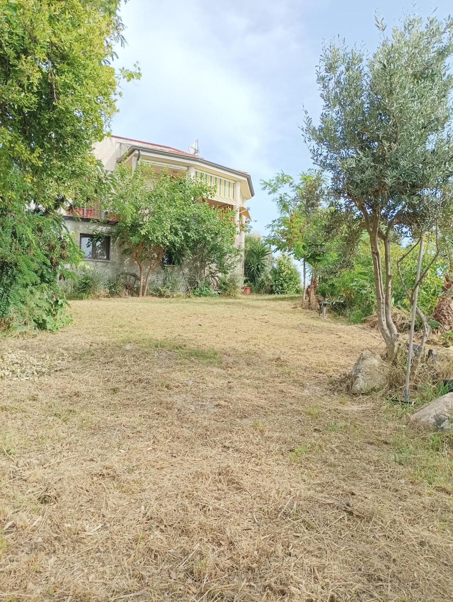 Palapico Ξενοδοχείο Bonifati Εξωτερικό φωτογραφία