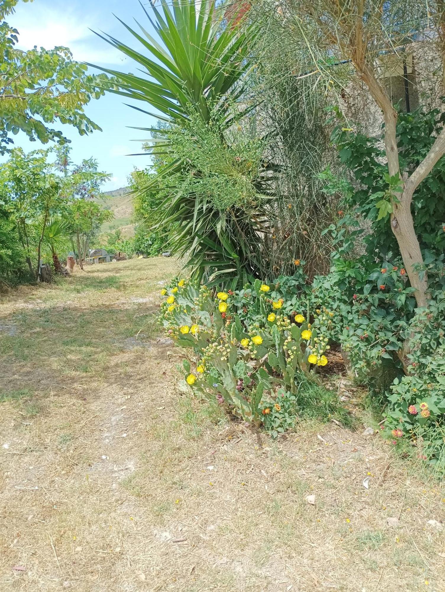 Palapico Ξενοδοχείο Bonifati Εξωτερικό φωτογραφία