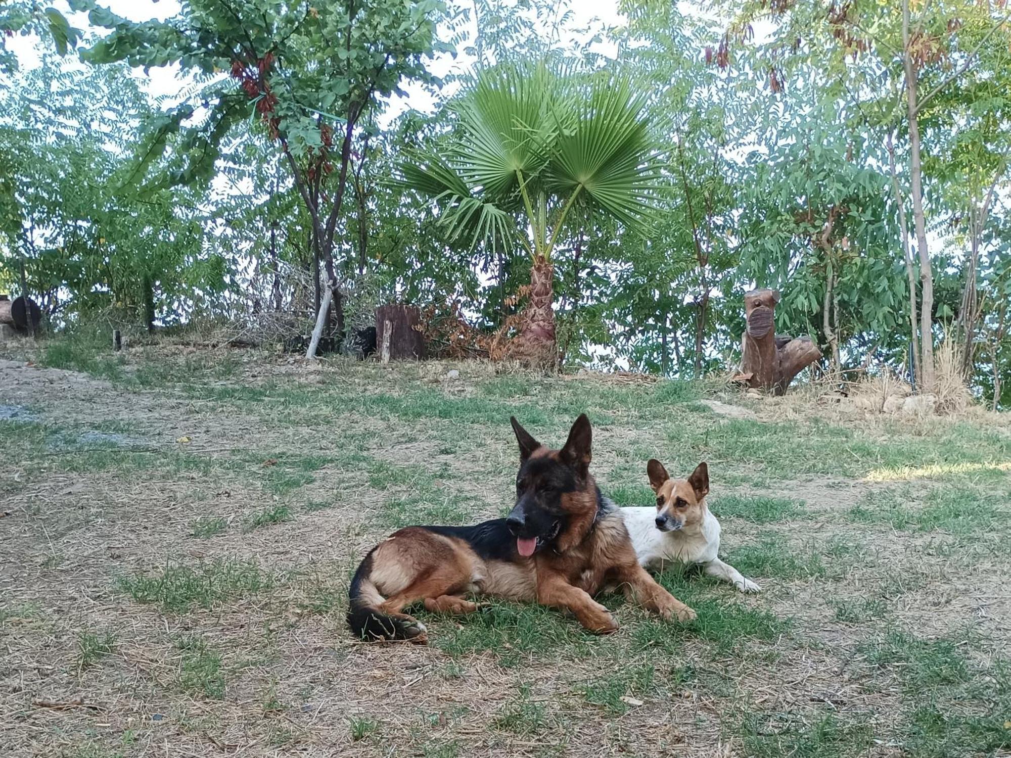 Palapico Ξενοδοχείο Bonifati Εξωτερικό φωτογραφία
